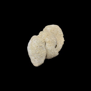 MILANESA DE VACUNO APANADA